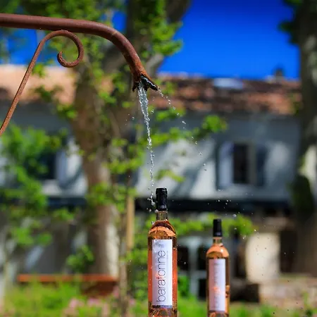 Domaine De La Baratonne Bed & Breakfast La Garde (Var)