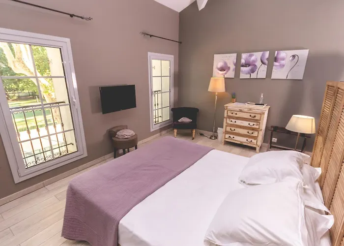 Domaine De La Baratonne 3*